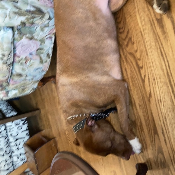 Meet your Posher, Jeff - Picture 1 of 1